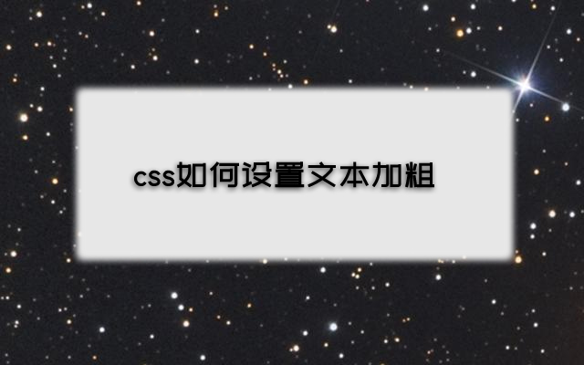 css如何通过font-weight属性设置文本加粗