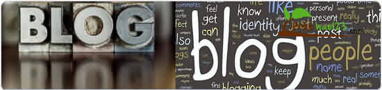 juziyue 必备!WordPress离线发布工具菊子曰和Windows