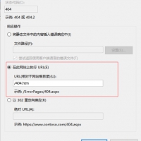 免费空间如何自定义IIS错误提示？