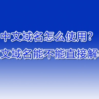 中文域名怎么使用？中文域名能不能直接解析