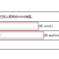 空间不支持VGA格式文件播放怎么办?如何让服务器支持VGA格式文件