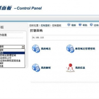 阳光互联网域名如何修改DNS并且加到dnspod中