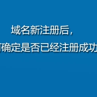 域名新注册后，如何确定是否已经注册成功？