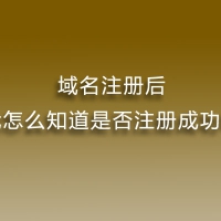 域名注册后，我怎么知道是否注册成功呢