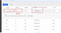 域名TXT记录是什么?怎样添加域名TXT记录设置