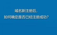 如何去确定新注册的域名是否注册成功了？